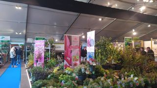 Au salon néerlandais GrootGroenPlus, une grande majorité des 235 exposants sont des pépiniéristes. En 2022, ils ont reçu des visiteurs de 27 pays. ©L.Hespel Au salon néerlandais GrootGroenPlus, une grande majorité des 235 exposants sont des pépiniéristes. En 2022, ils ont reçu des visiteurs de 27 pays. ©L.Hespel